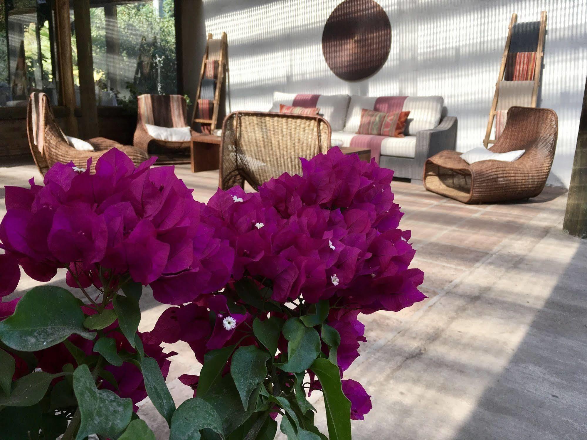 Hotel Casa De Campo Санта-Крус Екстер'єр фото